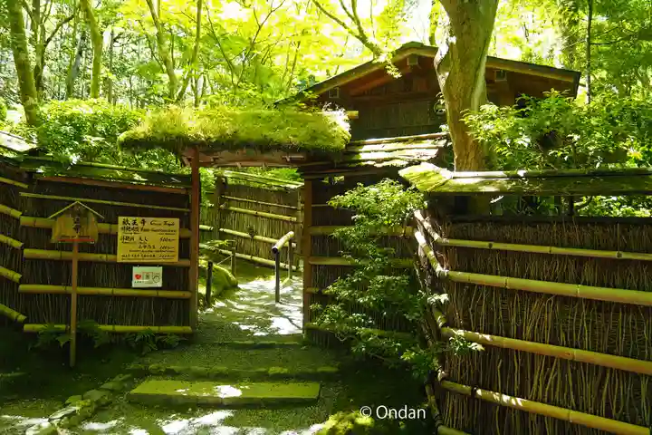 祇王寺(京都府)