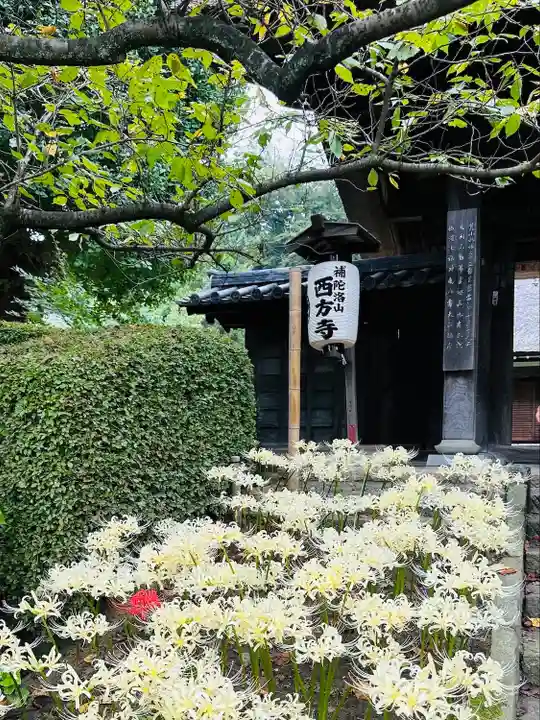 横浜 西方寺(神奈川県)