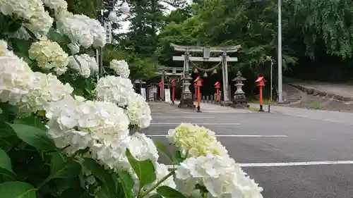 貴船神社の自然