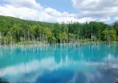 白金滝不動尊(北海道)