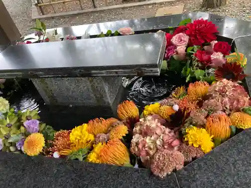 新琴似神社の手水