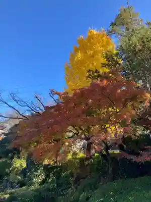 西光寺(神奈川県)
