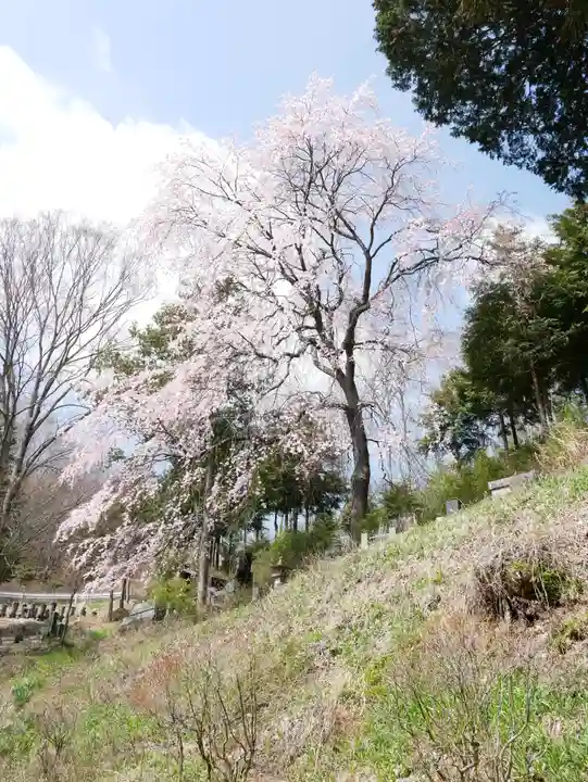 福王寺のその他建物