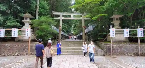 新潟縣護國神社の鳥居