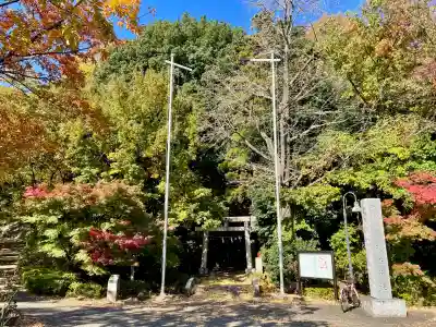 茅ヶ崎杉山神社(神奈川県)