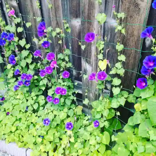 七重浜海津見神社(北海道)
