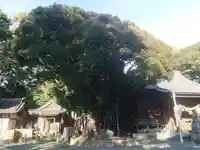 熊野神社(愛知県)