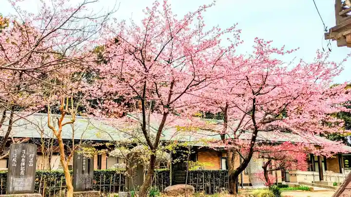 飯綱神社の自然