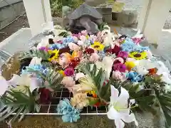 杉杜白髭神社の手水