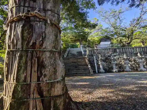 白山神社のその他建物