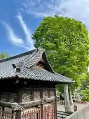 瀧宮神社(埼玉県)