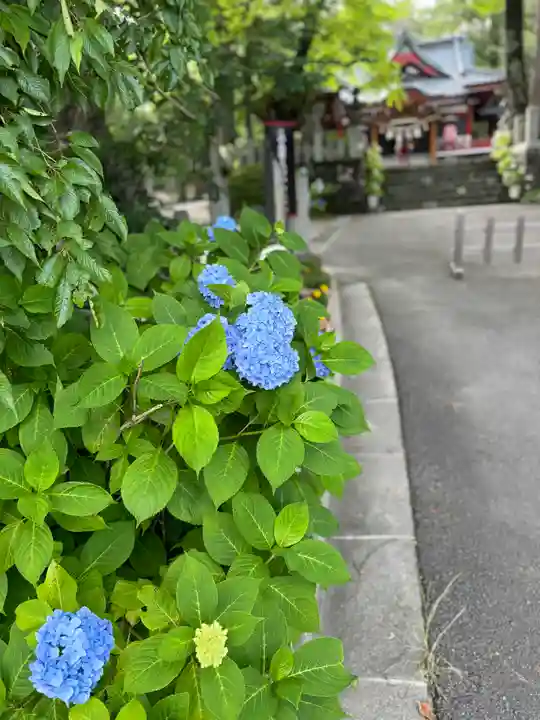 山中諏訪神社(山梨県)