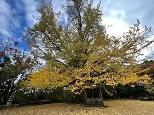 大山寺(徳島県)