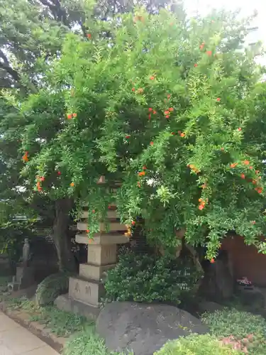 源長寺(東京都)
