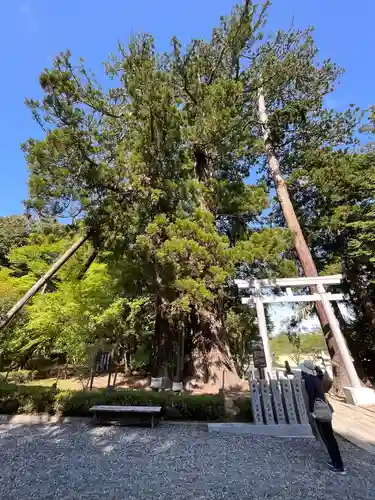 相馬中村神社の庭園