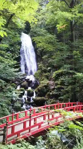 桜松神社の自然