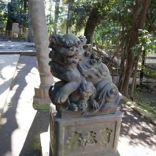 渋谷氷川神社の狛犬