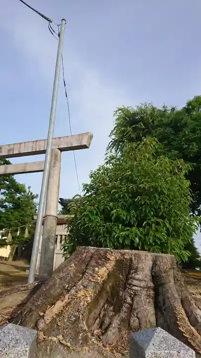神明社(重本)の自然