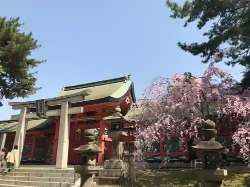 住吉大社(大阪府)