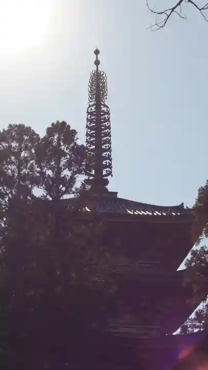 醍醐寺(京都府)