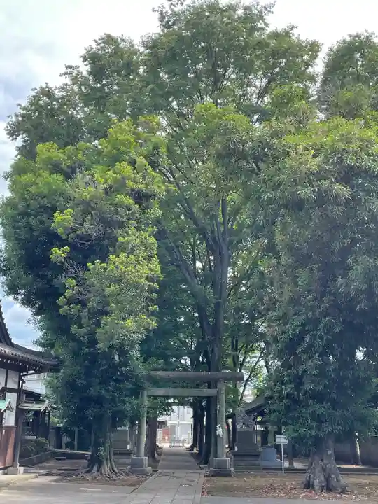 中町天祖神社(東京都)