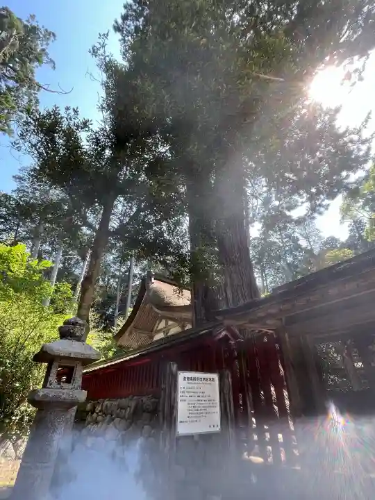油日神社の{uncategorized: "未分類", other: "その他", undefined: "問題あり", building: "その他建物", grave: "お墓", sacred_gate: "鳥居", guardian: "狛犬", statue: "像", buddha: "仏像", history: "歴史", nature: "自然", garden: "庭園", animal: "動物", pagoda: "塔", temizu: "手水舎", mountain_gate: "山門・神門", sanctuary: "本殿・本堂", subordinate: "末社・摂社", art: "芸術", scenery: "景色", jizo: "地蔵", ema: "絵馬", goshuin: "御朱印", omikuji: "おみくじ", items: "授与品その他", amulet: "お守り", goshuincho: "御朱印帳", eats: "食事", festival: "お祭り", votive_dance: "神楽", shichigosan: "七五三参", wedding: "結婚式", experience: "体験その他", initially: "初詣", around: "周辺", anti_infection: "感染症対策"}