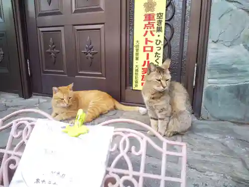 居木神社の動物