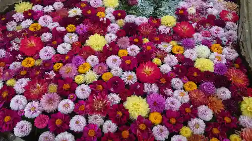 嵐山瀧神社の手水舎