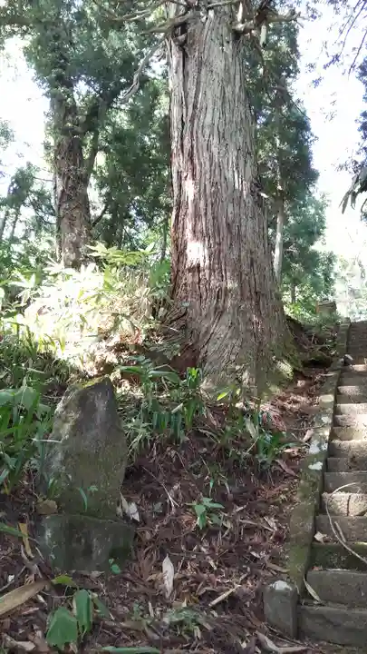 太田神社(新潟県)