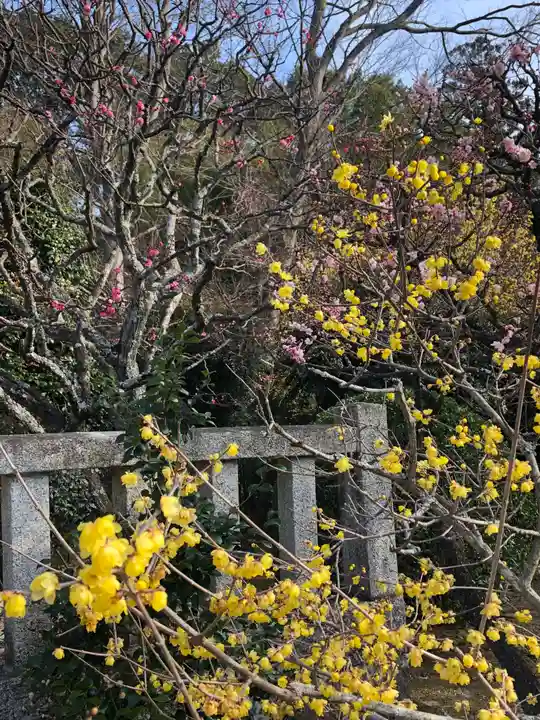 元三大師安楽寺の自然