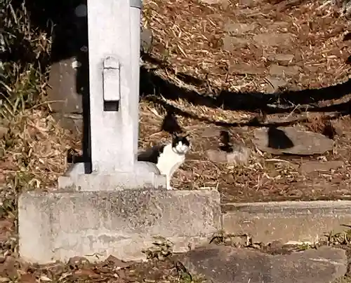 神明社(宮城県)