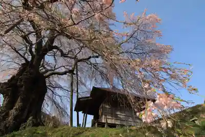 上石不動堂の自然