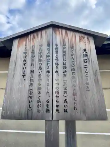 東寺（教王護国寺）の{uncategorized: "未分類", other: "その他", undefined: "問題あり", building: "その他建物", grave: "お墓", sacred_gate: "鳥居", guardian: "狛犬", statue: "像", buddha: "仏像", history: "歴史", nature: "自然", garden: "庭園", animal: "動物", pagoda: "塔", temizu: "手水舎", mountain_gate: "山門・神門", sanctuary: "本殿・本堂", subordinate: "末社・摂社", art: "芸術", scenery: "景色", jizo: "地蔵", ema: "絵馬", goshuin: "御朱印", omikuji: "おみくじ", items: "授与品その他", amulet: "お守り", goshuincho: "御朱印帳", eats: "食事", festival: "お祭り", votive_dance: "神楽", shichigosan: "七五三参", wedding: "結婚式", experience: "体験その他", initially: "初詣", around: "周辺", anti_infection: "感染症対策"}