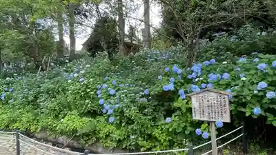 彌勒寺(宮城県)