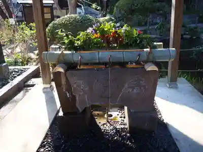 貫井神社の手水舎