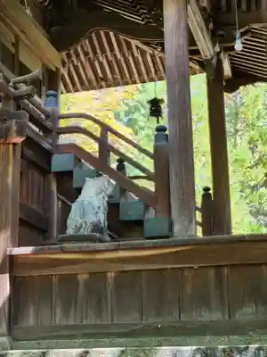 春日神社の狛犬