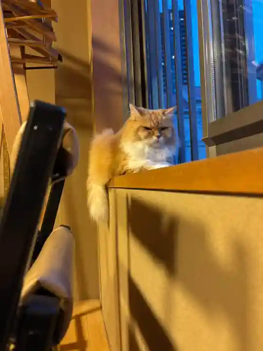 當光寺(東京都)