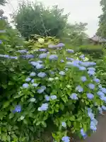 高原寺(兵庫県)