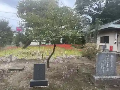 上町氷川神社(埼玉県)