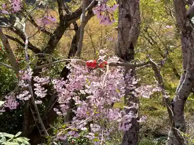 勝尾寺(大阪府)