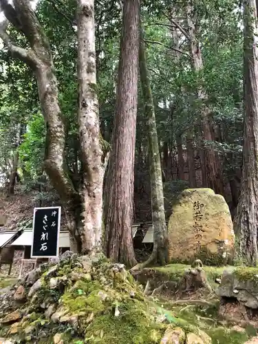 元伊勢内宮 皇大神社の自然