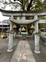 福神社の{uncategorized: "未分類", other: "その他", undefined: "問題あり", building: "その他建物", grave: "お墓", sacred_gate: "鳥居", guardian: "狛犬", statue: "像", buddha: "仏像", history: "歴史", nature: "自然", garden: "庭園", animal: "動物", pagoda: "塔", temizu: "手水舎", mountain_gate: "山門・神門", sanctuary: "本殿・本堂", subordinate: "末社・摂社", art: "芸術", scenery: "景色", jizo: "地蔵", ema: "絵馬", goshuin: "御朱印", omikuji: "おみくじ", items: "授与品その他", amulet: "お守り", goshuincho: "御朱印帳", eats: "食事", festival: "お祭り", votive_dance: "神楽", shichigosan: "七五三参", wedding: "結婚式", experience: "体験その他", initially: "初詣", around: "周辺", anti_infection: "感染症対策"}