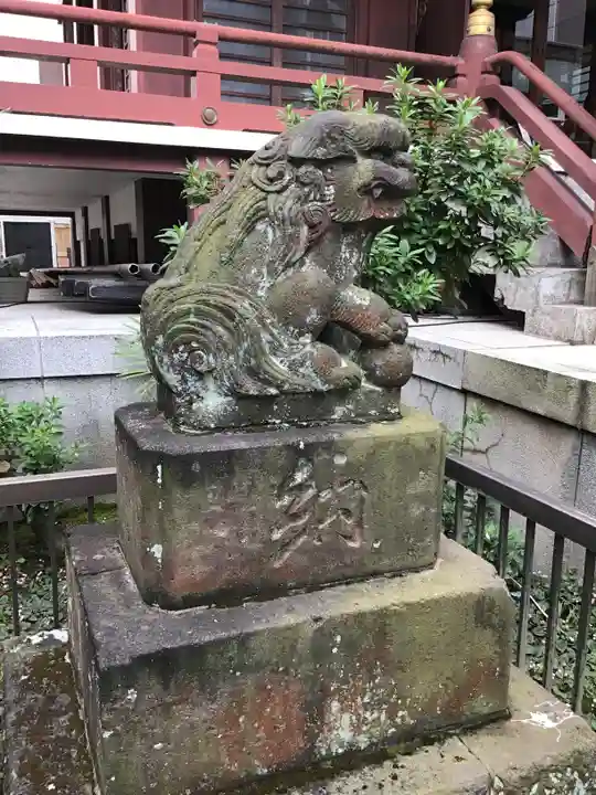 柏神社の狛犬