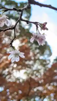十輪寺(京都府)