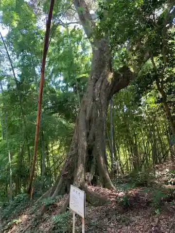 諏訪神社(千葉県)