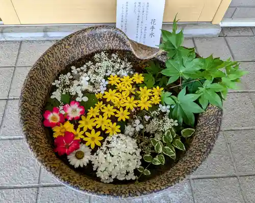 美瑛神社の手水