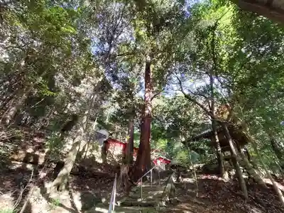 白石神社(京都府)