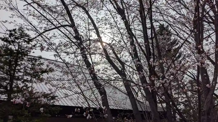 鷹栖神社の自然