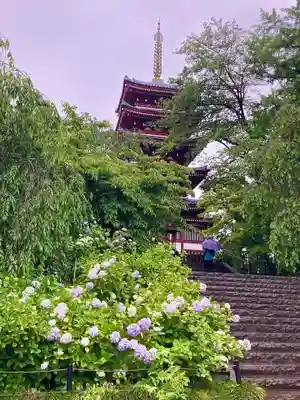 本土寺(千葉県)