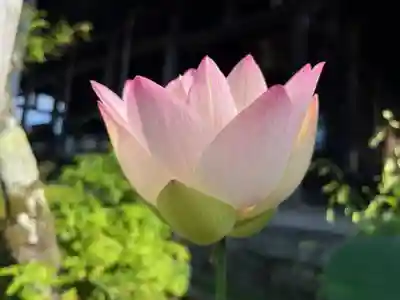 穴太寺(京都府)